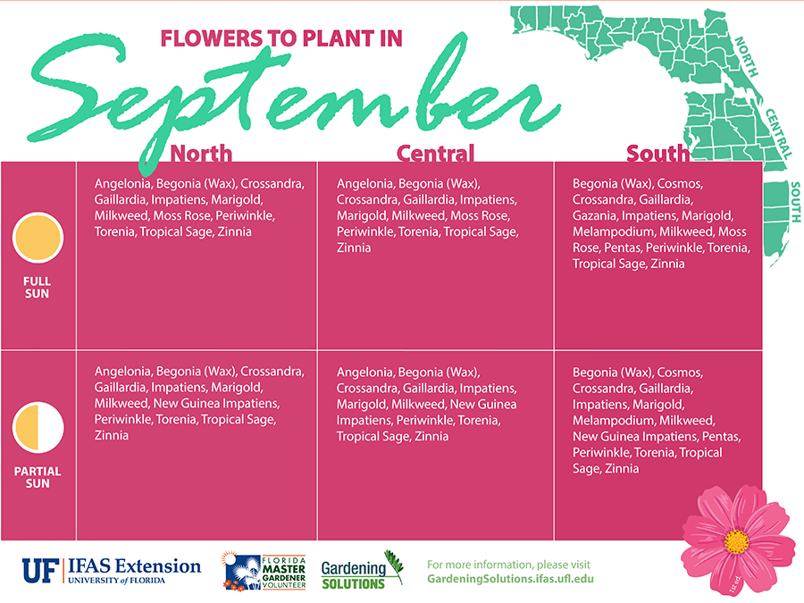 Flowers for September